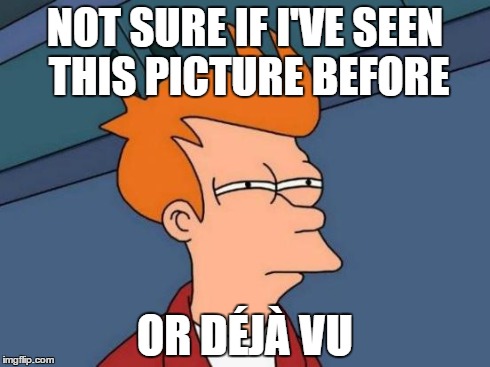 Futurama Fry Meme | NOT SURE IF I'VE SEEN THIS PICTURE BEFORE OR DÉJÀ VU | image tagged in memes,futurama fry | made w/ Imgflip meme maker