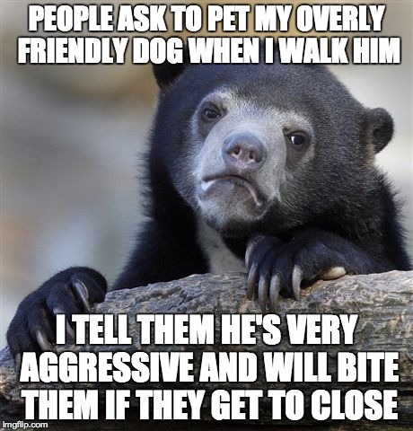 Confession Bear Meme | PEOPLE ASK TO PET MY OVERLY FRIENDLY DOG WHEN I WALK HIM I TELL THEM HE'S VERY AGGRESSIVE AND WILL BITE THEM IF THEY GET TO CLOSE | image tagged in memes,confession bear,AdviceAnimals | made w/ Imgflip meme maker