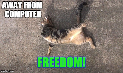 Kookie Cat UK- Away from Computer, FREEDOM. | AWAY FROM COMPUTER FREEDOM! | image tagged in kookie cat uk,cat,kitten,internet | made w/ Imgflip meme maker