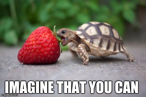 strawberry turtle | IMAGINE THAT YOU CAN | image tagged in i can | made w/ Imgflip meme maker