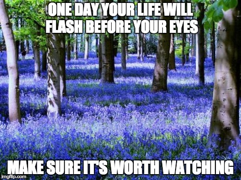 Purple flowers | ONE DAY YOUR LIFE WILL FLASH BEFORE YOUR EYES MAKE SURE IT'S WORTH WATCHING | image tagged in purple flowers | made w/ Imgflip meme maker