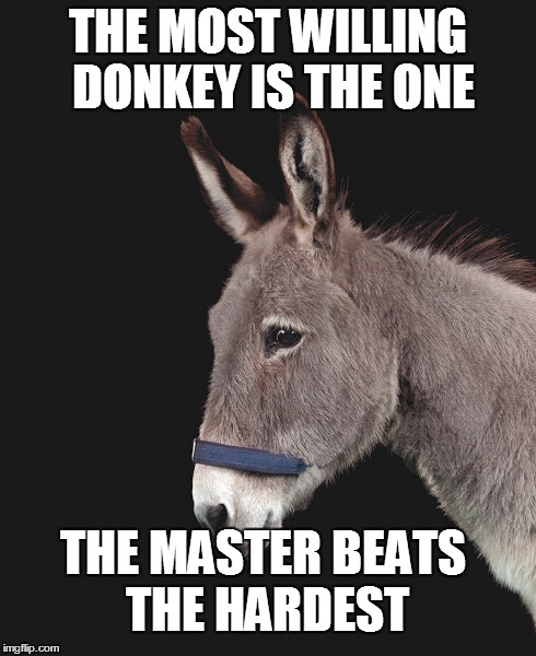 The truth about hardworkers | THE MOST WILLING DONKEY IS THE ONE THE MASTER BEATS THE HARDEST | image tagged in donkey,overworked,underpaid,hard work,loyalty,appreciation | made w/ Imgflip meme maker