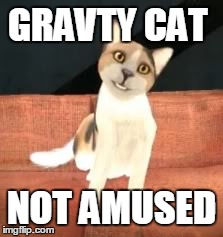Gravity Cat | GRAVTY CAT NOT AMUSED | image tagged in gravity,gmod,funny,memes,not amused,cat | made w/ Imgflip meme maker