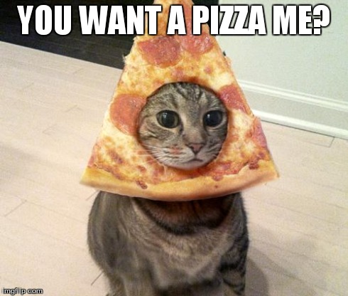 pizza cat | YOU WANT A PIZZA ME? | image tagged in pizza cat | made w/ Imgflip meme maker