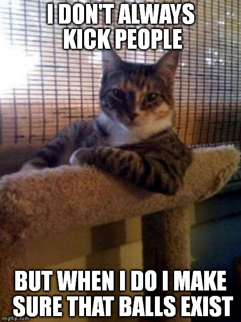 The Most Interesting Cat In The World Meme | I DON'T ALWAYS KICK PEOPLE BUT WHEN I DO I MAKE SURE THAT BALLS EXIST | image tagged in memes,the most interesting cat in the world | made w/ Imgflip meme maker