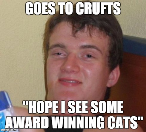 10 Guy Meme | GOES TO CRUFTS "HOPE I SEE SOME AWARD WINNING CATS" | image tagged in memes,10 guy | made w/ Imgflip meme maker