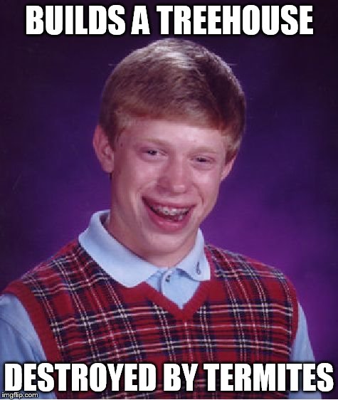 Bad Luck Brian Meme | BUILDS A TREEHOUSE DESTROYED BY TERMITES | image tagged in memes,bad luck brian | made w/ Imgflip meme maker