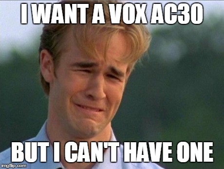 1990s First World Problems Meme | I WANT A VOX AC30 BUT I CAN'T HAVE ONE | image tagged in crying dawson | made w/ Imgflip meme maker