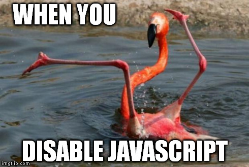 Flamingo Fail | WHEN YOU DISABLE JAVASCRIPT | image tagged in flamingo fail | made w/ Imgflip meme maker