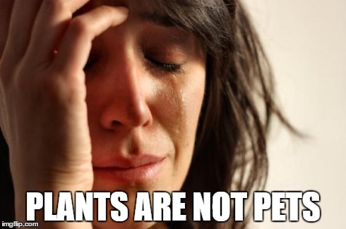 First World Problems Meme | PLANTS ARE NOT PETS | image tagged in memes,first world problems | made w/ Imgflip meme maker