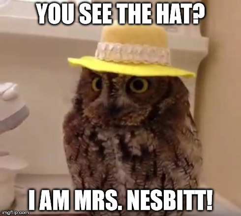YOU SEE THE HAT? I AM MRS. NESBITT! | image tagged in hat owl | made w/ Imgflip meme maker