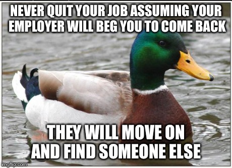 Actual Advice Mallard | NEVER QUIT YOUR JOB ASSUMING YOUR EMPLOYER WILL BEG YOU TO COME BACK THEY WILL MOVE ON AND FIND SOMEONE ELSE | image tagged in memes,actual advice mallard,AdviceAnimals | made w/ Imgflip meme maker