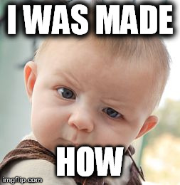 Skeptical Baby Meme | I WAS MADE HOW | image tagged in memes,skeptical baby | made w/ Imgflip meme maker