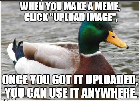 WHEN YOU MAKE A MEME, CLICK "UPLOAD IMAGE", ONCE YOU GOT IT UPLOADED, YOU CAN USE IT ANYWHERE. | image tagged in actual advice mallard | made w/ Imgflip meme maker