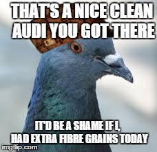 Scumbag Pigeon | THAT'S A NICE CLEAN AUDI YOU GOT THERE IT'D BE A SHAME IF I,  HAD EXTRA FIBRE GRAINS TODAY | image tagged in memes,funny,pigeon | made w/ Imgflip meme maker