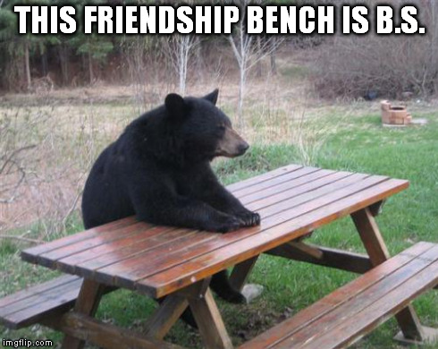 Bad Luck Bear | THIS FRIENDSHIP BENCH IS B.S. | image tagged in memes,bad luck bear | made w/ Imgflip meme maker