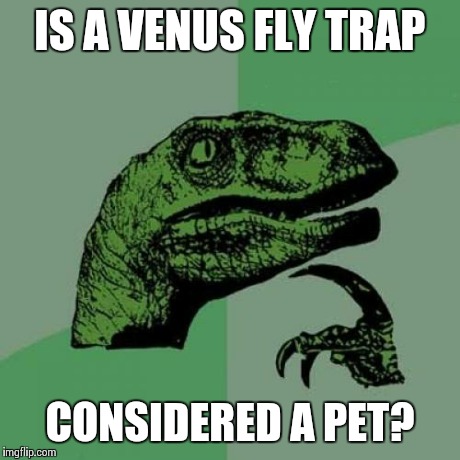 Philosoraptor Meme | IS A VENUS FLY TRAP CONSIDERED A PET? | image tagged in memes,philosoraptor | made w/ Imgflip meme maker