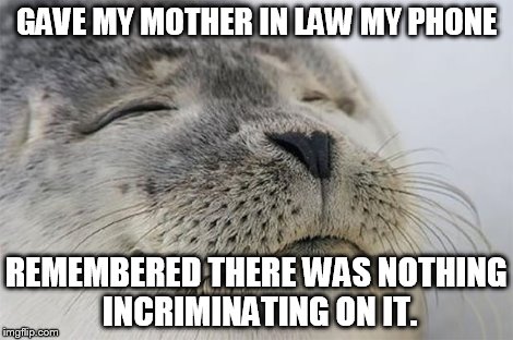 Satisfied Seal | GAVE MY MOTHER IN LAW MY PHONE REMEMBERED THERE WAS NOTHING INCRIMINATING ON IT. | image tagged in memes,satisfied seal,AdviceAnimals | made w/ Imgflip meme maker