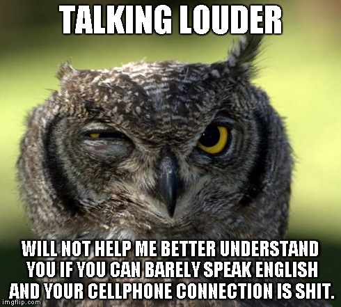 WTF Owl | TALKING LOUDER WILL NOT HELP ME BETTER UNDERSTAND YOU IF YOU CAN BARELY SPEAK ENGLISH AND YOUR CELLPHONE CONNECTION IS SHIT. | image tagged in wtf owl | made w/ Imgflip meme maker