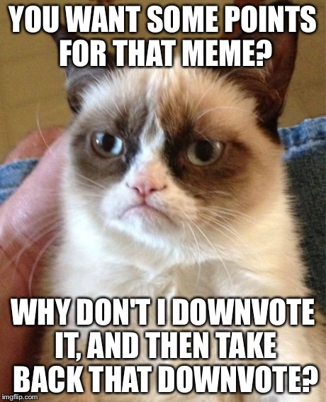 Grumpy Cat | YOU WANT SOME POINTS FOR THAT MEME? WHY DON'T I DOWNVOTE IT, AND THEN TAKE BACK THAT DOWNVOTE? | image tagged in memes,grumpy cat | made w/ Imgflip meme maker
