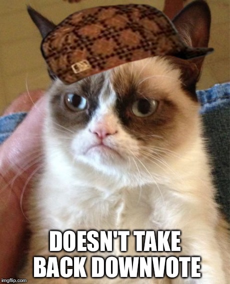 Grumpy Cat Meme | DOESN'T TAKE BACK DOWNVOTE | image tagged in memes,grumpy cat,scumbag | made w/ Imgflip meme maker