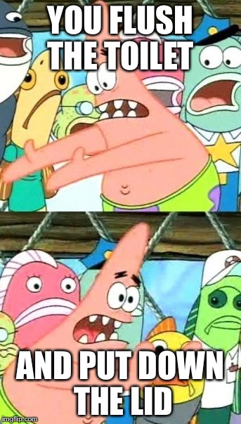 Put It Somewhere Else Patrick | YOU FLUSH THE TOILET AND PUT DOWN THE LID | image tagged in memes,put it somewhere else patrick | made w/ Imgflip meme maker