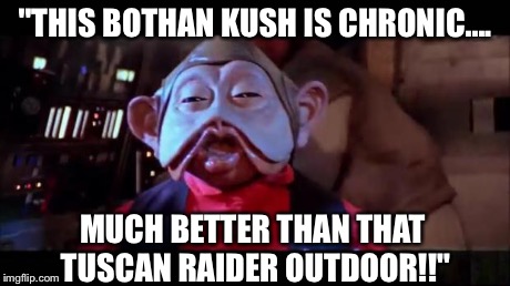 Star wars blunted | "THIS BOTHAN KUSH IS CHRONIC.... MUCH BETTER THAN THAT TUSCAN RAIDER OUTDOOR!!" | image tagged in star wars blunted | made w/ Imgflip meme maker