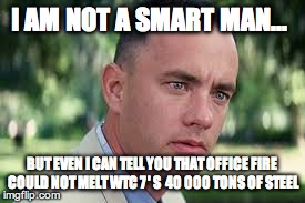 Forrest | I AM NOT A SMART MAN... BUT EVEN I CAN TELL YOU THAT OFFICE FIRE COULD NOT MELT WTC 7 ' S  40 000 TONS OF STEEL | image tagged in forrest gump,911 | made w/ Imgflip meme maker