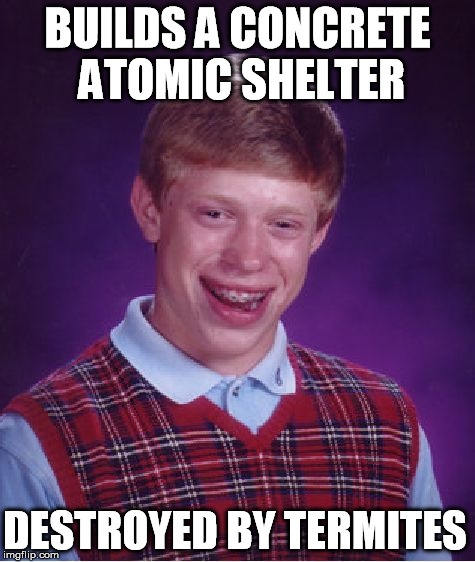 Bad Luck Brian Meme | BUILDS A CONCRETE ATOMIC SHELTER DESTROYED BY TERMITES | image tagged in memes,bad luck brian | made w/ Imgflip meme maker