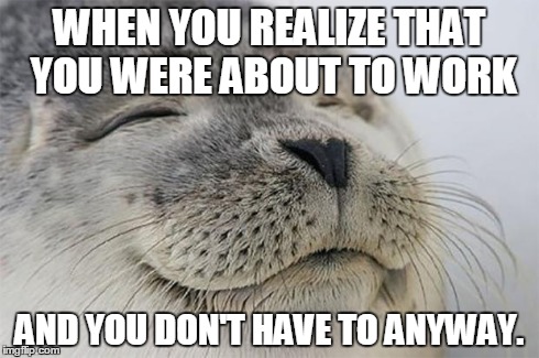 Satisfied Seal | WHEN YOU REALIZE THAT YOU WERE ABOUT TO WORK AND YOU DON'T HAVE TO ANYWAY. | image tagged in memes,satisfied seal | made w/ Imgflip meme maker