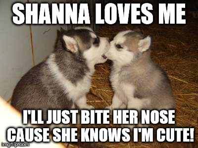 Cute Puppies Meme | SHANNA LOVES ME I'LL JUST BITE HER NOSE CAUSE SHE KNOWS I'M CUTE! | image tagged in memes,cute puppies | made w/ Imgflip meme maker