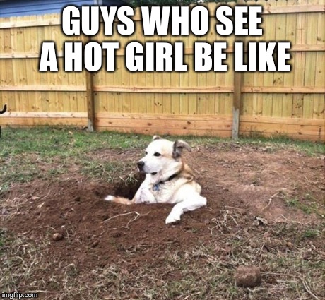 GUYS WHO SEE A HOT GIRL BE LIKE | image tagged in memes | made w/ Imgflip meme maker