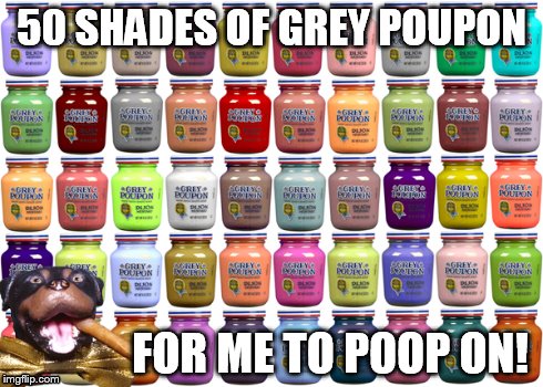 Triumph Grey Poop On | 50 SHADES OF GREY POUPON FOR ME TO POOP ON! | image tagged in triumph,insult,comic,dog,grey poupon,puns | made w/ Imgflip meme maker