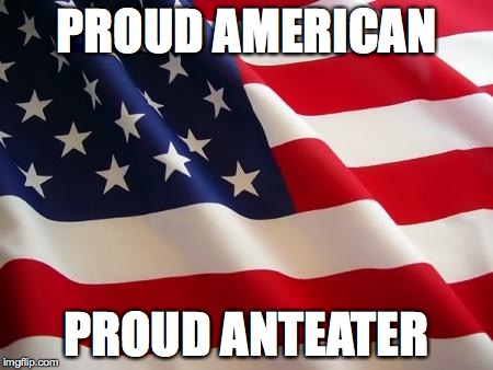 American flag | PROUD AMERICAN PROUD ANTEATER | image tagged in american flag | made w/ Imgflip meme maker