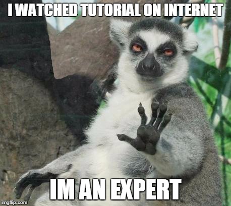 Stoner Lemur Meme | I WATCHED TUTORIAL ON INTERNET IM AN EXPERT | image tagged in memes,stoner lemur | made w/ Imgflip meme maker