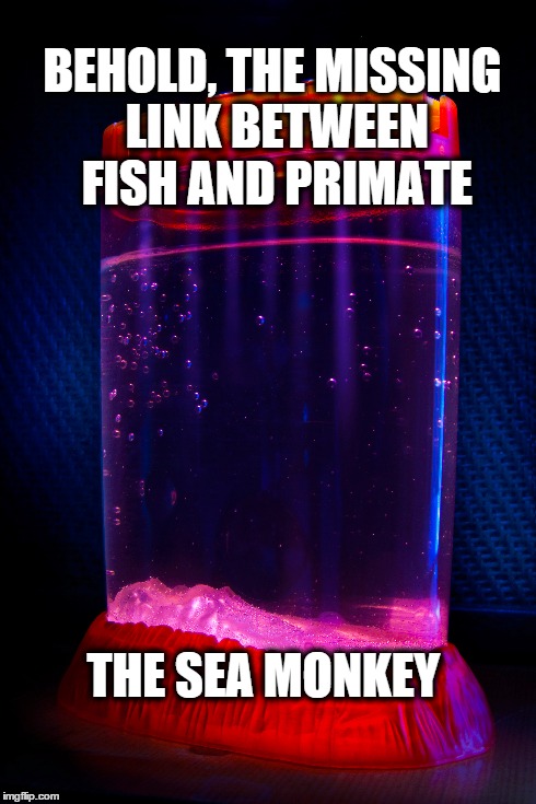 BEHOLD, THE MISSING LINK BETWEEN FISH AND PRIMATE THE SEA MONKEY | made w/ Imgflip meme maker