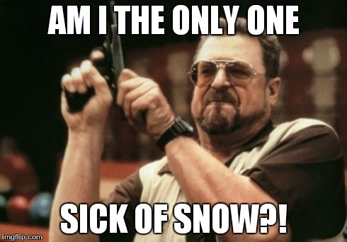 Am I The Only One Around Here Meme | AM I THE ONLY ONE SICK OF SNOW?! | image tagged in memes,am i the only one around here | made w/ Imgflip meme maker