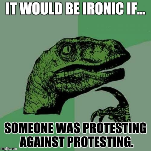 Philosoraptor | IT WOULD BE IRONIC IF... SOMEONE WAS PROTESTING AGAINST PROTESTING. | image tagged in memes,philosoraptor | made w/ Imgflip meme maker