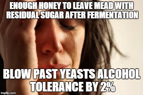 First World Problems Meme | ENOUGH HONEY TO LEAVE MEAD WITH RESIDUAL SUGAR AFTER FERMENTATION BLOW PAST YEASTS ALCOHOL TOLERANCE BY 2% | image tagged in memes,first world problems | made w/ Imgflip meme maker