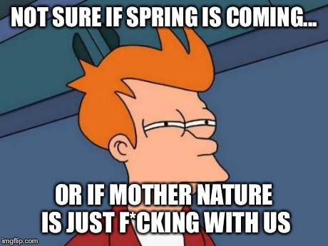 Futurama Fry | NOT SURE IF SPRING IS COMING... OR IF MOTHER NATURE IS JUST F*CKING WITH US | image tagged in memes,futurama fry | made w/ Imgflip meme maker