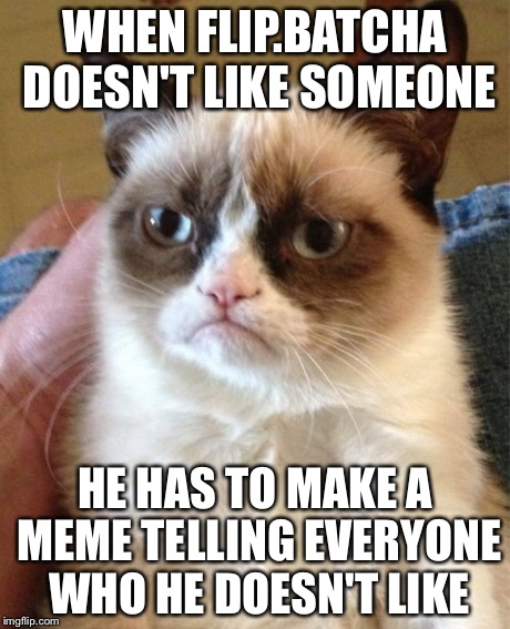 Grumpy Cat Meme | WHEN FLIP.BATCHA DOESN'T LIKE SOMEONE HE HAS TO MAKE A MEME TELLING EVERYONE WHO HE DOESN'T LIKE | image tagged in memes,grumpy cat | made w/ Imgflip meme maker