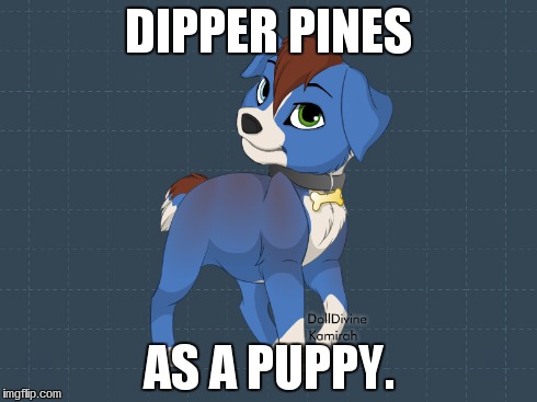 Dipper | DIPPER PINES AS A PUPPY. | image tagged in dipper pines,dog,cute,puppy,gravity falls | made w/ Imgflip meme maker