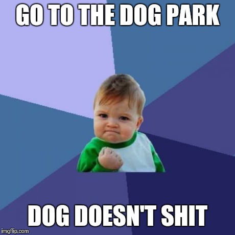 Success Kid Meme | GO TO THE DOG PARK DOG DOESN'T SHIT | image tagged in memes,success kid | made w/ Imgflip meme maker