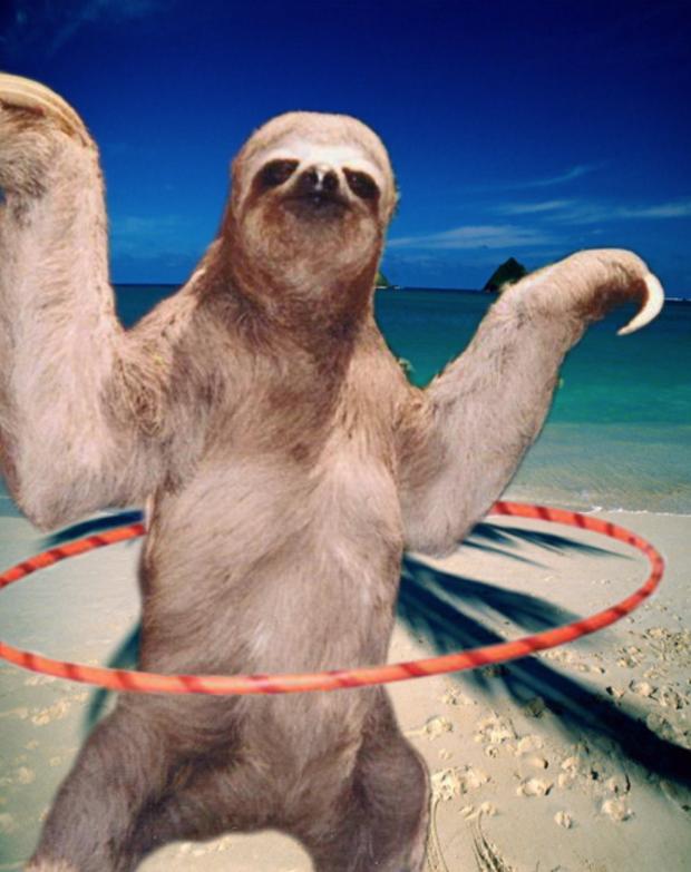 Funny Sloth Blank Meme Template