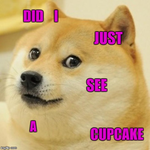 Doge Meme | DID    I JUST SEE A CUPCAKE | image tagged in memes,doge | made w/ Imgflip meme maker