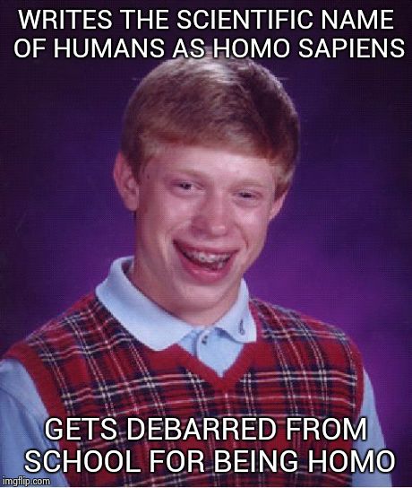 Gets arrested after being debarred | WRITES THE SCIENTIFIC NAME OF HUMANS AS HOMO SAPIENS GETS DEBARRED FROM SCHOOL FOR BEING HOMO | image tagged in memes,bad luck brian | made w/ Imgflip meme maker