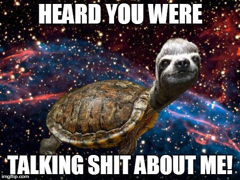 what were you saying? | HEARD YOU WERE TALKING SHIT ABOUT ME! | image tagged in sloth,turtle | made w/ Imgflip meme maker