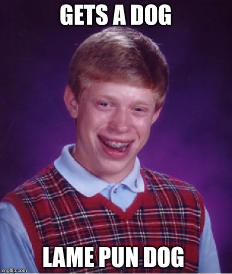 Got this idea from whoever did the grumpy cat version  | GETS A DOG LAME PUN DOG | image tagged in memes,bad luck brian | made w/ Imgflip meme maker