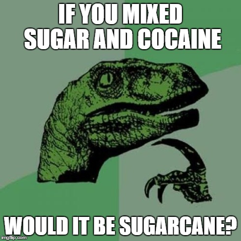 Philosoraptor | IF YOU MIXED SUGAR AND COCAINE WOULD IT BE SUGARCANE? | image tagged in memes,philosoraptor | made w/ Imgflip meme maker