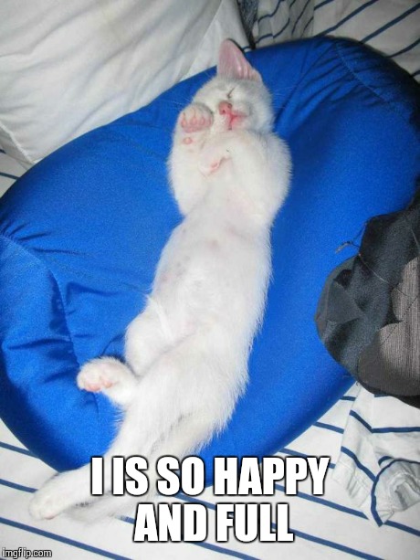 FUCKIN' CATS | I IS SO HAPPY AND FULL | image tagged in fuckin' cats | made w/ Imgflip meme maker